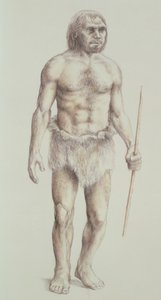 Hombre de Neandertal de English School